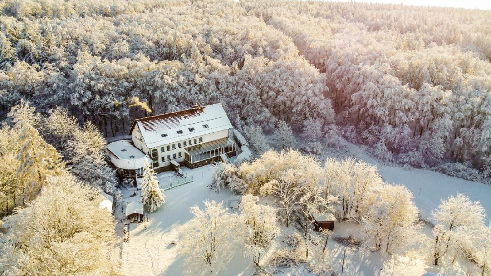Hotel Harzresidenz Thale Exteriör bild